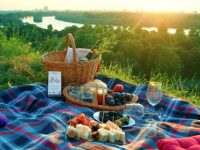 Date Night Part Two-Picnic Fail and Happy Ending